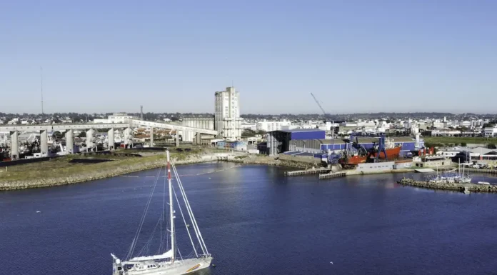 Para proteger el Mar Argentino: llegó por primera vez al país el barco más nuevo de Greenpeace “Witness”