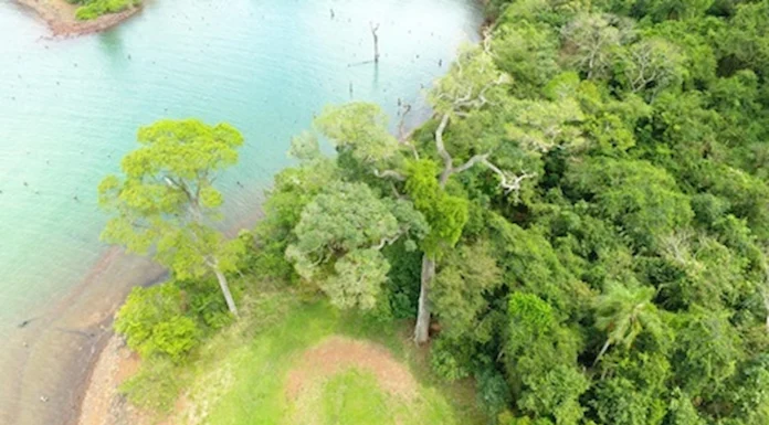Afirman que la Reserva de Biosfera Itaipú está protegida por las Buenas Prácticas Agropecuarias