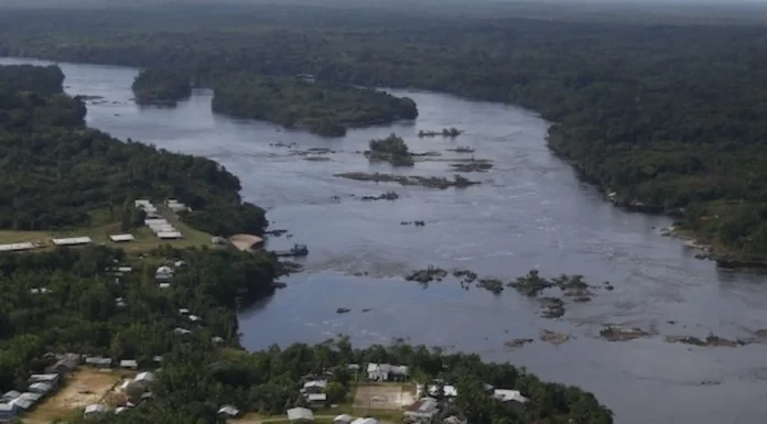 Medioambiente: La deforestación de la selva amazónica brasileña cayó 67,9 % en abril