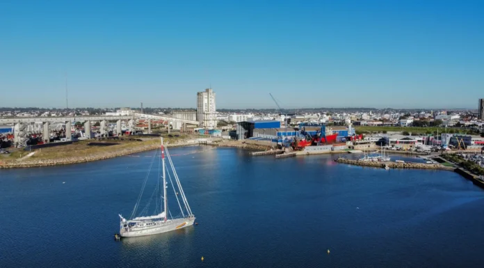 Instituto de Conservación de Ballenas y Greenpeace: recorren zonas del Mar Argentino donde se planea avanzar con la exploración petrolera offshore