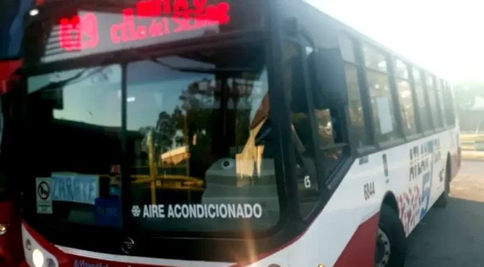 Post Pandemia: Buena noticia para viajantes entre las cabeceras de Zárate a Pilar con el servicio público de micros que volvió a regularizarse ayer