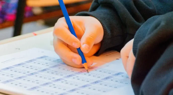 Pruebas Aprender: hubo fuertes avances en Lengua y también mejoras en Matemática