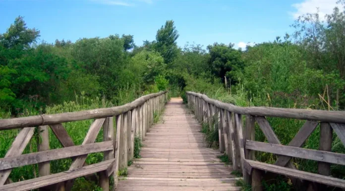 En Campana: Detuvieron a un sospechoso por la violación en la Reserva Ecológica