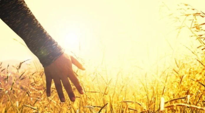 Efemérides Especiales: hoy nos detenemos a mirar mujeres que luchan por la paz y el desarme mundial