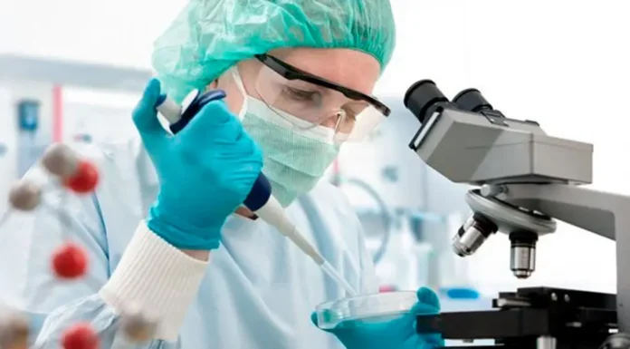 CONICET: Investigadores lograron manipular una proteína involucrada en el desarrollo del cáncer