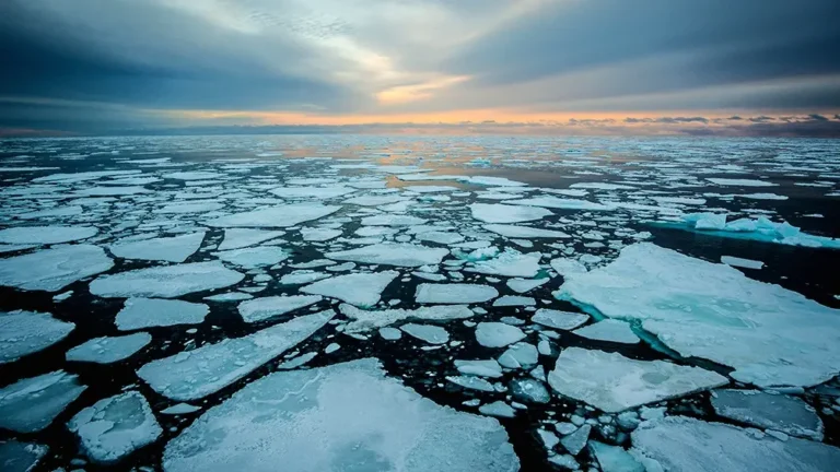 CAMBIO CLIMATICO: Científicos alertan que el Océano Ártico puede quedarse sin hielo para 2030 