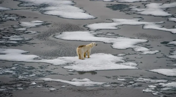 El Niño ya está en camino: comenzó el fenómeno que amenaza con eventos climáticos extremos