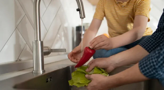 Día Mundial de la Inocuidad Alimentaria: A celebrar con el debido cuidado de conocer el potencial riesgo que pueden transmitir los alimentos