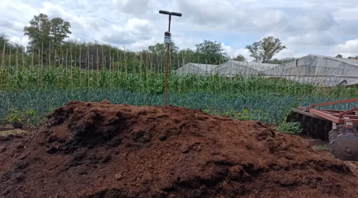 Finalizó taller de Buenas Prácticas Agrícolas para productores de la agricultura familiar
