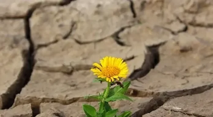 Efemérides Especiales: En el aniversario del Güemes, recalamos en la gravedad de la sequía y la desertificación de la tierra