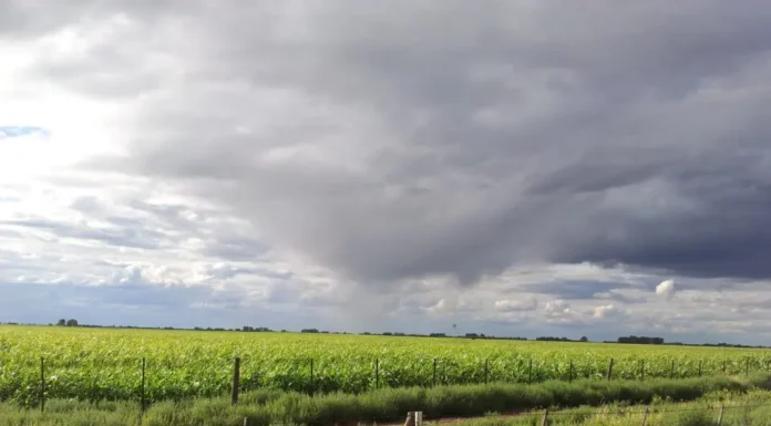 El Niño ya comenzó su transición en territorio nacional: cómo será el fenómeno climático