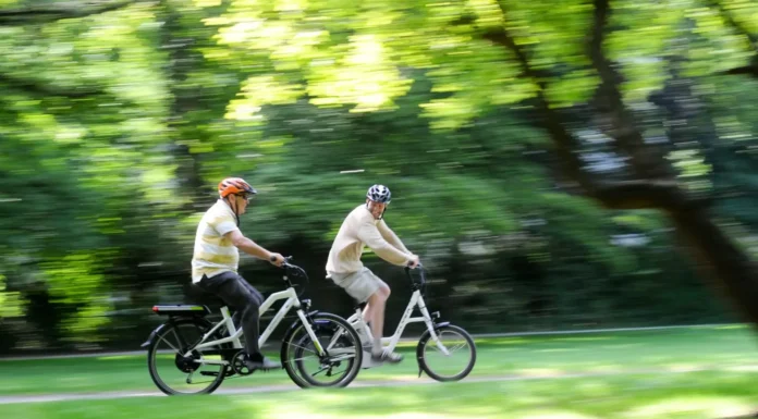 Efemerides Especiales: Hoy vamos a disfrutar del “Día mundial del Paseo” mientras esperamos el de la Bandera