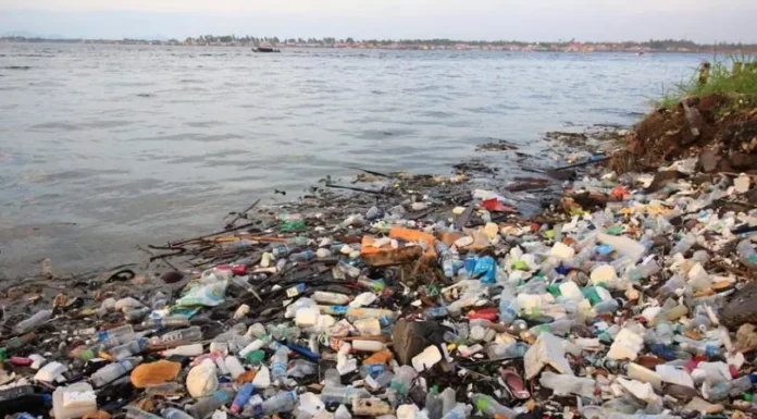 Buena iniciativa: Lanzan un innovador proyecto para incentivar el reciclado de plásticos