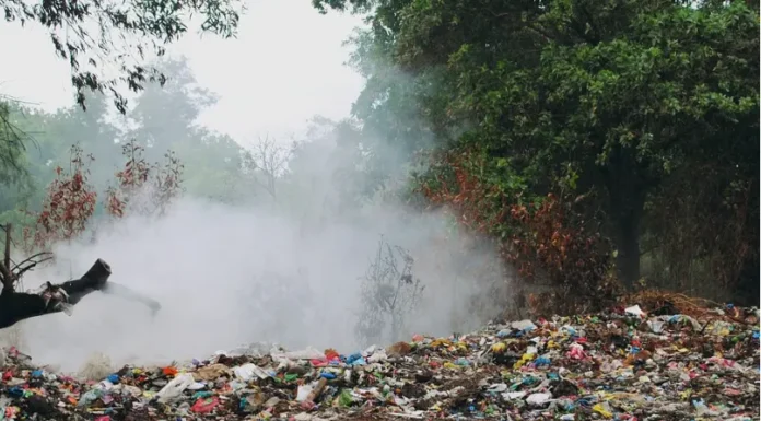 Efemérides Especiales: Entre el Día del Padre y los serios peligros de la incineración descontrolada