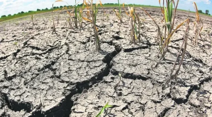 Advierten que las lluvias de otoño no alcanzaron para revertir la sequía