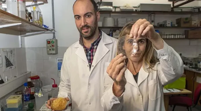 Científicos de Universidad de Quilmes desarrollan materiales para envases biodegradables