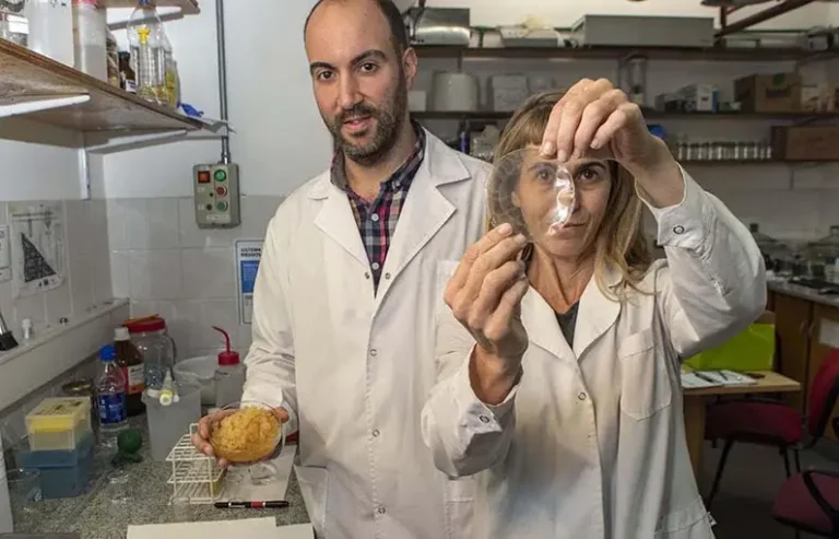 Científicos de Universidad de Quilmes desarrollan materiales para envases biodegradables 