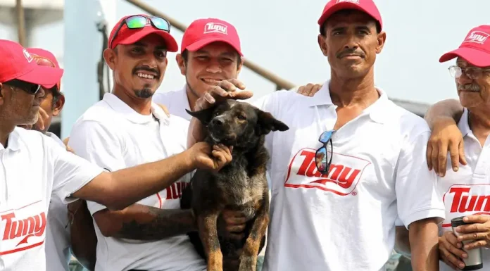 HOMENAJE EN SU DÍA: Héroes y compañeros, los perros que fueron noticia este año