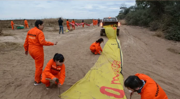 CASI 12.000 HECTÁREAS: Denuncian que fueron arrasadas y protestan por desmonte ilegal más grande del país