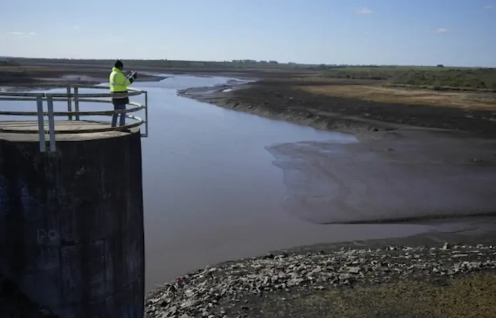 image - 2023-07-11T114416.295