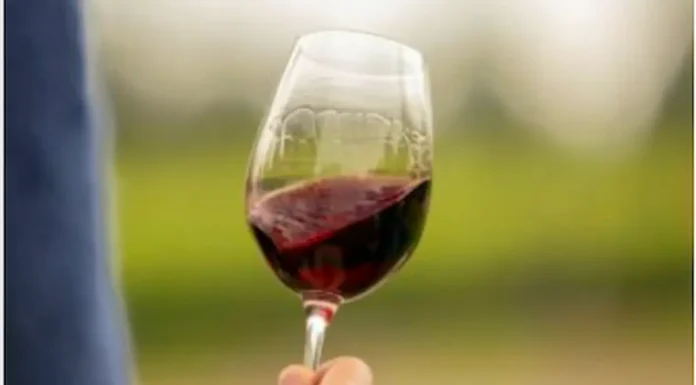 Excelente: Una bodega de argentina fue elegida como el mejor viñedo del mundo