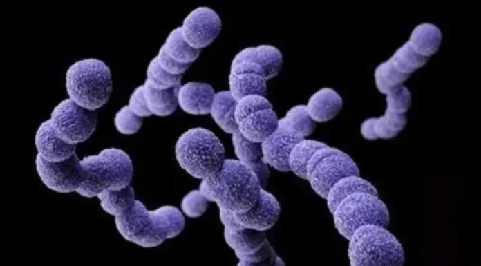 Salud alertó sobre aumento de infecciones por una bacteria que produce faringitis