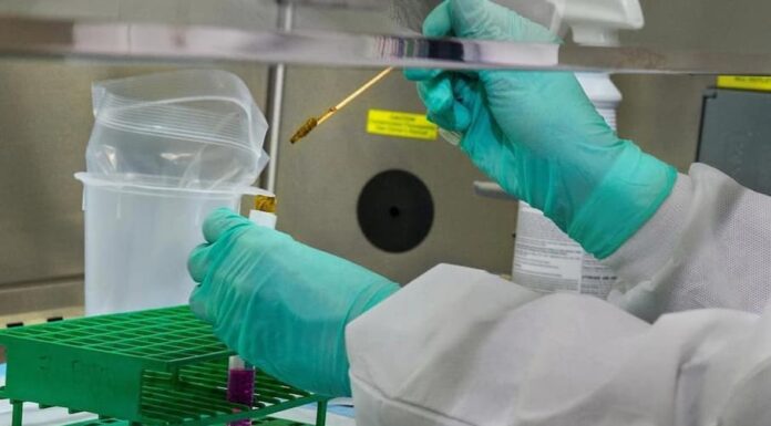 Cómo funciona Cruzivax: la vacuna contra el Chagas desarrollada por científicos argentinos