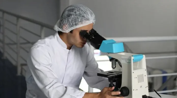 Describen qué alteraciones del ADN impulsan el cáncer en las células