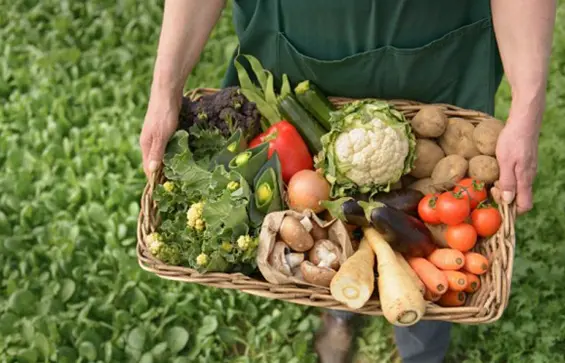 La urgencia de transformar los sistemas alimentarios ante la emergencia climática y de biodiversidad