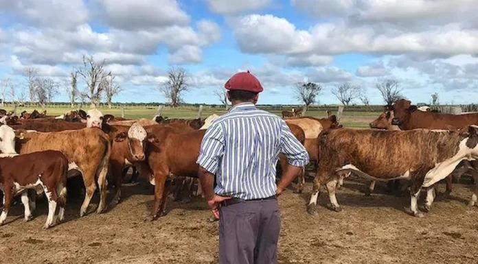 CAME Informa: “Se prorroga la compatibilidad de planes sociales para un sector vulnerable de la economía”