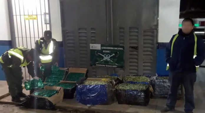 El más grande en Zárate: Detectan 318 kilos de hojas de coca en encomiendas y en una camioneta