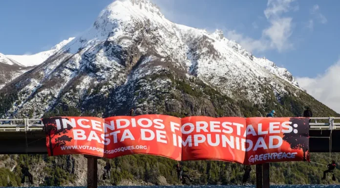 En Bariloche: Se colgaron de un puente para protestar contra los incendios forestales