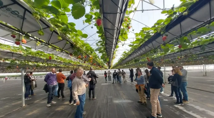 INTA Zárate: El Instituto Nacional de Tecnología Agropecuaria, designó al Ing. Echagüe cómo nuevo Jefe local