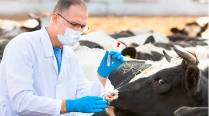 Día del Veterinario: Feliz día para los profesionales y va una radiografía de una profesión en pleno crecimiento