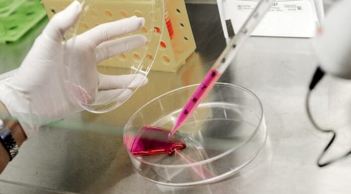 CONICET: Avanza el desarrollo de un test para detectar cáncer de mama y de próstata en forma precoz