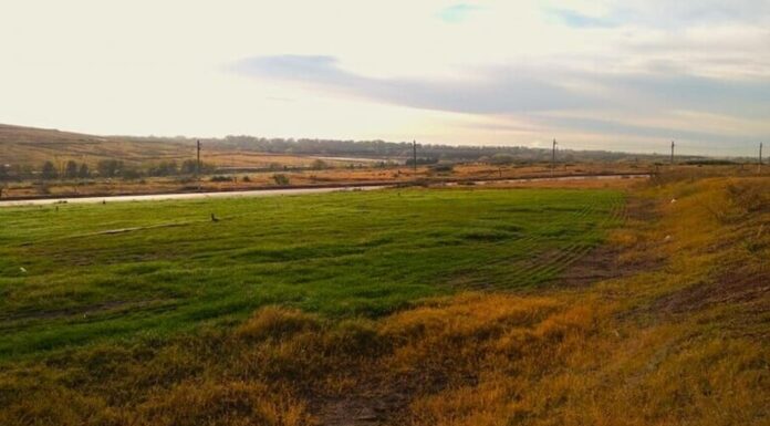 Crean suelos artificiales: Beneficios para la industria, el ambiente y el agro