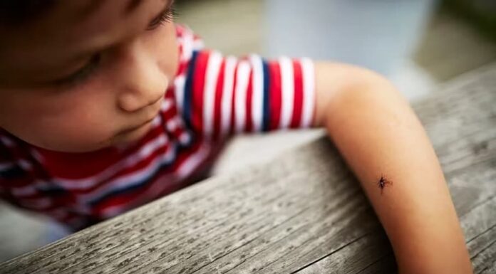 Quiénes podrán recibir la vacuna contra el dengue que se comenzará a aplicar en pocas semanas en Argentina