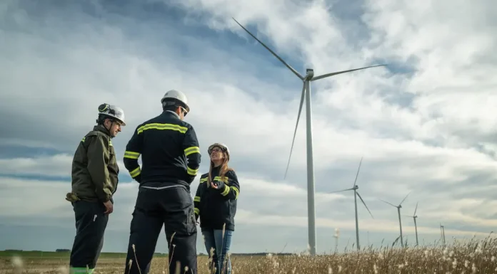 Parque Eólico de la Buena Ventura: Anunciaron la finalización del montaje de los 24 aerogeneradores