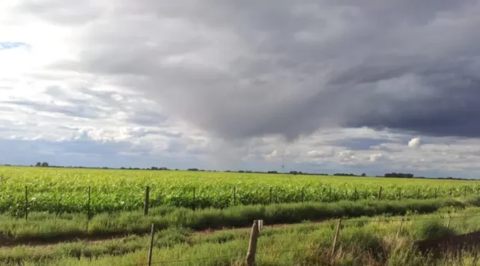 Las condiciones de “El Niño” ya están en la región y se espera una primavera lluviosa