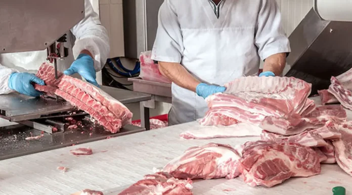 Informe: Los humanos tenemos una jornada para encontrar el desafío de “evitar el desperdicio de alimentos”