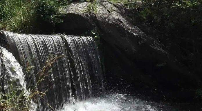 Efemérides Especiales: Hoy veamos que el agua es vital para la vida y tenemos que cuidarla y controlar su pureza
