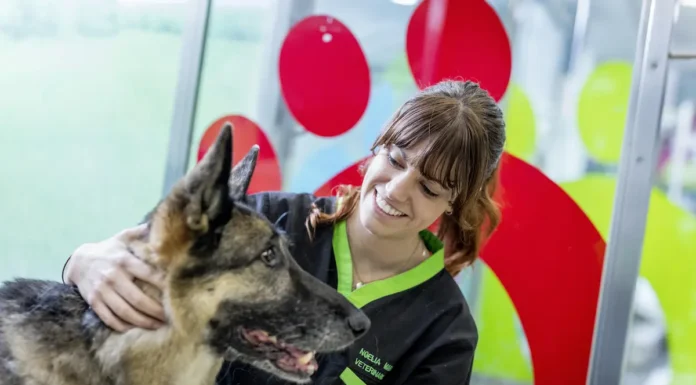 28 de septiembre, Día Mundial Contra la Rabia: MSD Salud Animal reafirma su compromiso para eliminar las muertes humanas por rabia