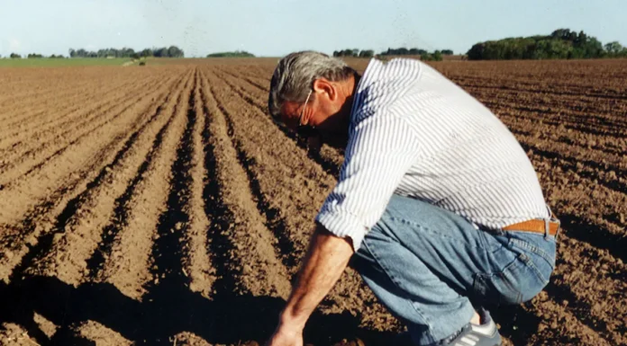Efemérides Especiales: Entre la belleza y los autos eléctricos, nos detenemos en el trabajo del Agricultor