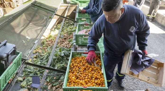 Mercado Central: recuperan 6.000 kilos de frutas y verduras por día para donar a comedores