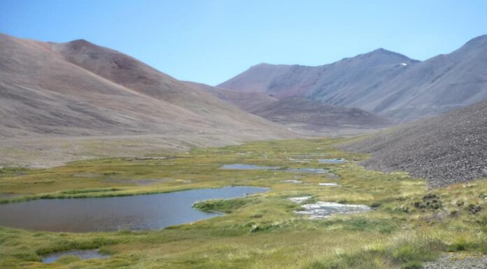 Revelan las causas de la degradación de humedales en Cuyo