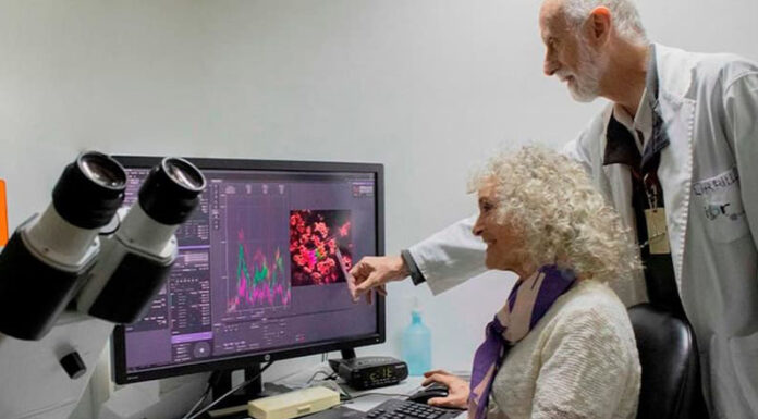 “Nernst”: un biosensor que determina la energía en bacterias, plantas y animales