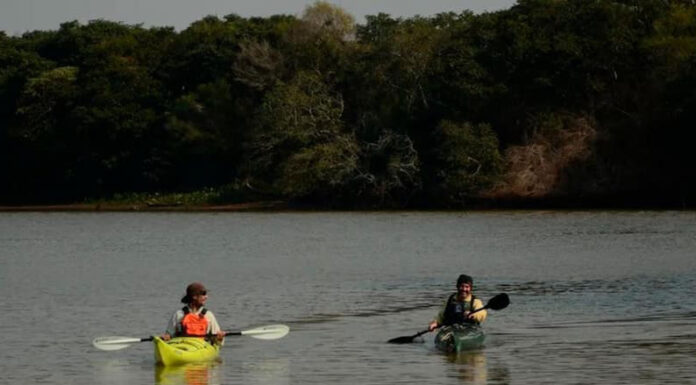 BELLEZA PAISAJÍSTICA: Crearon en Entre Ríos un parque natural de humedales, bosques e islas en el río Uruguay