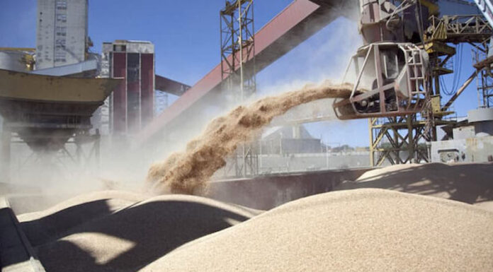 Clave: Las exportaciones del complejo sojero subirán 125% en 2024