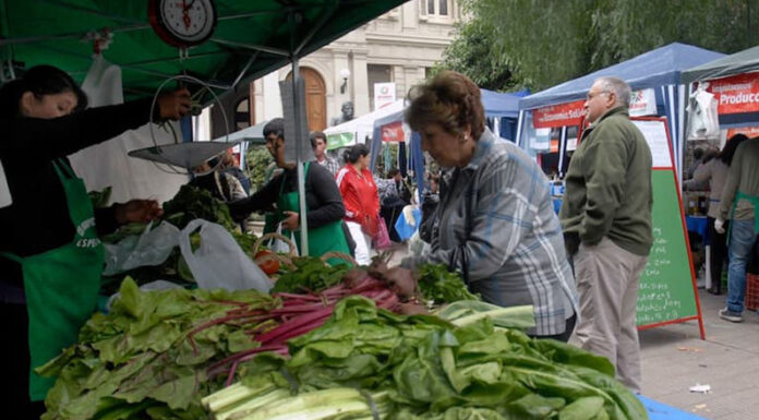 Detectaron una alta concentración de parásitos en verduras del cordón hortícola de La Plata