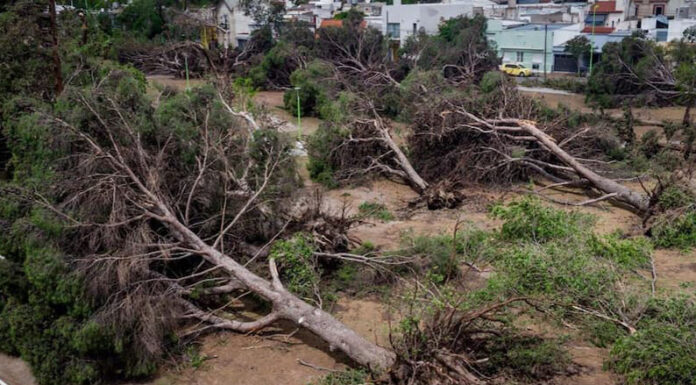 Los expertos del Conicet analizaron el fenómeno climático y sus consecuencias